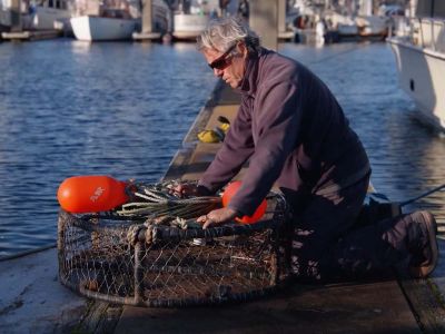 working with trap 01x900